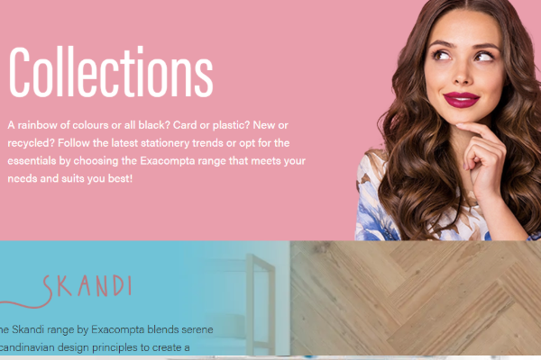 A preview of a landing page project