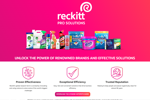A preview of a landing page project
